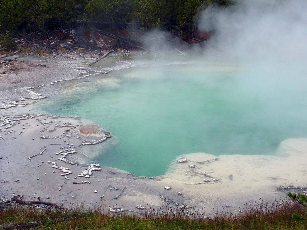 Yellowstone Norris Geyser (10).JPG